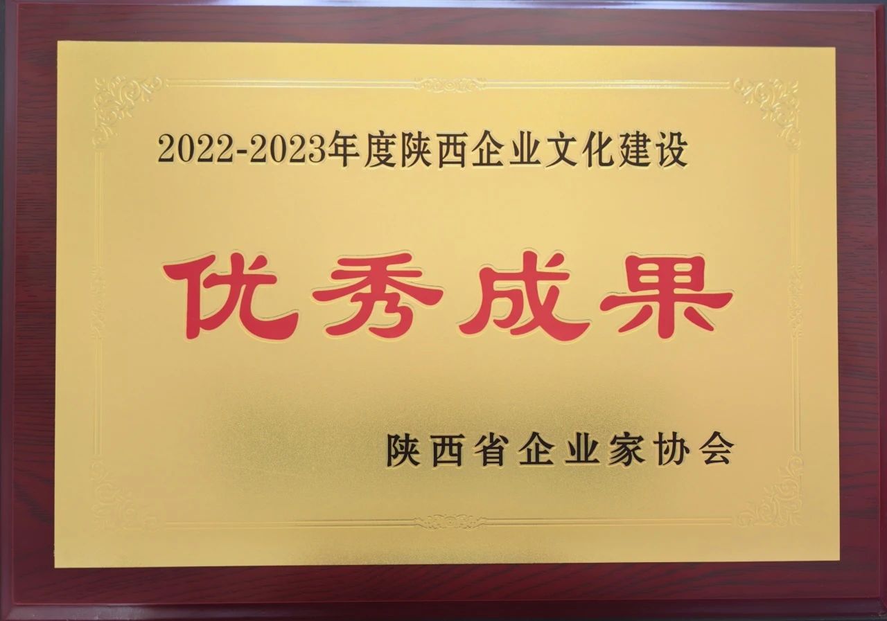 【集团资讯】秦川集团获星空体育(中国)官方网站建设大奖